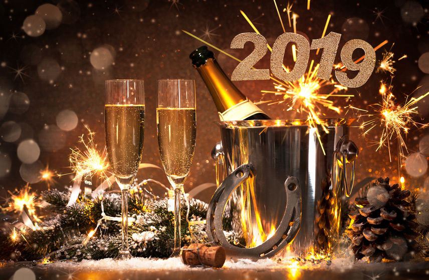 2019 é o ano de ganhar dinheiro na Bolsa?