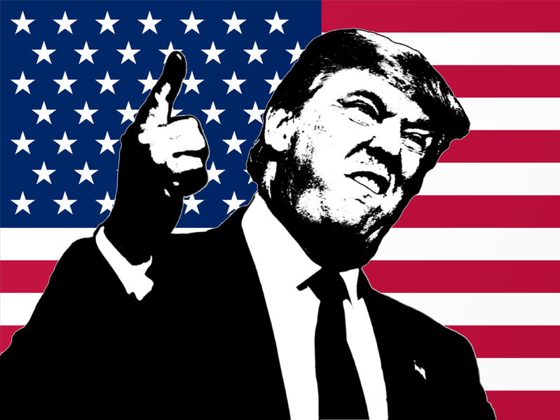 73736576 - trump illustration in american flag