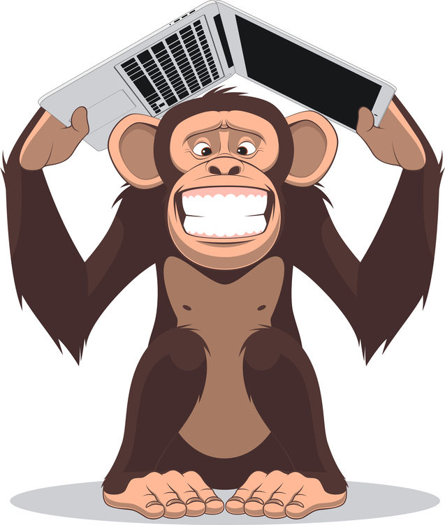 Investidores amadores vão pior do que macacos?